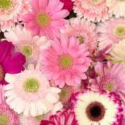 ヒメ日記 2025/11/10 21:16 投稿 なぎこ 艶熟妻 京都店