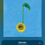 ヒメ日記 2026/01/04 17:48 投稿 ゆな カクテル(岡山)