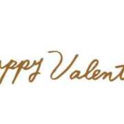 ヒメ日記 2026/02/14 04:18 投稿 ゆな カクテル(岡山)