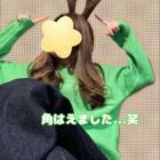 ヒメ日記 2024/12/19 20:50 投稿 有栖川　もね エテルナ京都