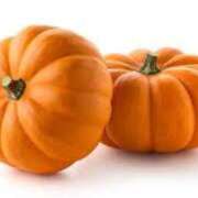 ヒメ日記 2025/05/05 17:49 投稿 有栖川　もね エテルナ京都