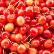 ヒメ日記 2025/06/11 17:46 投稿 有栖川　もね エテルナ京都