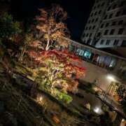 ヒメ日記 2025/12/13 23:24 投稿 りょうこ モアグループ神栖人妻花壇