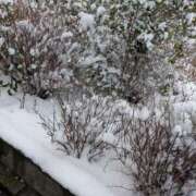 ヒメ日記 2026/02/08 17:31 投稿 りょうこ モアグループ神栖人妻花壇