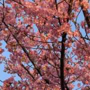 ヒメ日記 2026/03/01 09:16 投稿 りょうこ モアグループ神栖人妻花壇