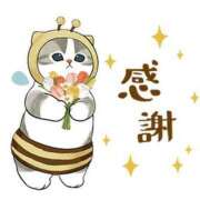 ヒメ日記 2026/03/31 16:06 投稿 りょうこ モアグループ神栖人妻花壇