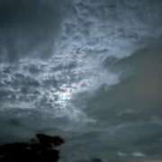 ヒメ日記 2025/01/03 00:03 投稿 せな 一宮稲沢小牧ちゃんこ