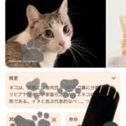 ヒメ日記 2025/01/13 21:57 投稿 せな 一宮稲沢小牧ちゃんこ