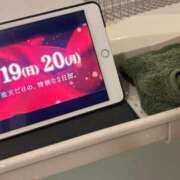 ヒメ日記 2025/01/18 03:54 投稿 せな 一宮稲沢小牧ちゃんこ