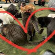 ヒメ日記 2025/02/12 22:30 投稿 せな 一宮稲沢小牧ちゃんこ