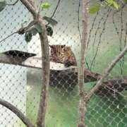 ヒメ日記 2025/02/20 23:04 投稿 せな 一宮稲沢小牧ちゃんこ