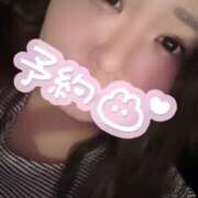 ヒメ日記 2025/02/23 01:29 投稿 せな 一宮稲沢小牧ちゃんこ