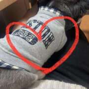 ヒメ日記 2025/02/28 00:44 投稿 せな 一宮稲沢小牧ちゃんこ