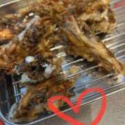 ヒメ日記 2025/03/04 21:14 投稿 せな 一宮稲沢小牧ちゃんこ