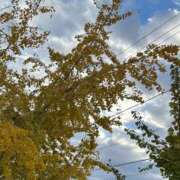 ヒメ日記 2025/03/09 15:04 投稿 せな 一宮稲沢小牧ちゃんこ