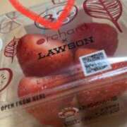 ヒメ日記 2025/03/13 22:54 投稿 せな 一宮稲沢小牧ちゃんこ