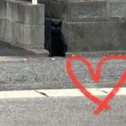 ヒメ日記 2025/03/14 13:49 投稿 せな 一宮稲沢小牧ちゃんこ