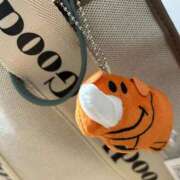 ヒメ日記 2025/03/14 17:29 投稿 せな 一宮稲沢小牧ちゃんこ