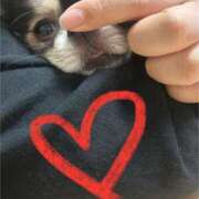 ヒメ日記 2025/03/15 16:19 投稿 せな 一宮稲沢小牧ちゃんこ