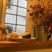 ヒメ日記 2025/03/16 21:24 投稿 せな 一宮稲沢小牧ちゃんこ