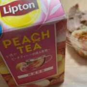 ヒメ日記 2025/03/17 00:04 投稿 せな 一宮稲沢小牧ちゃんこ