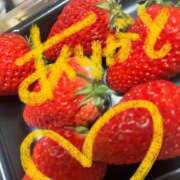 ヒメ日記 2025/03/22 13:49 投稿 せな 一宮稲沢小牧ちゃんこ