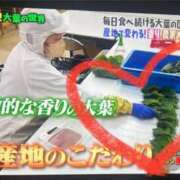 ヒメ日記 2025/03/27 14:04 投稿 せな 一宮稲沢小牧ちゃんこ