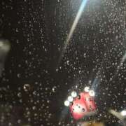 ヒメ日記 2025/04/14 20:24 投稿 せな 一宮稲沢小牧ちゃんこ