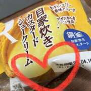 ヒメ日記 2025/04/16 15:24 投稿 せな 一宮稲沢小牧ちゃんこ