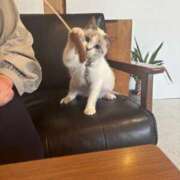 ヒメ日記 2025/04/21 19:35 投稿 せな 一宮稲沢小牧ちゃんこ