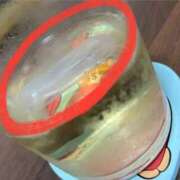 ヒメ日記 2025/04/21 23:12 投稿 せな 一宮稲沢小牧ちゃんこ