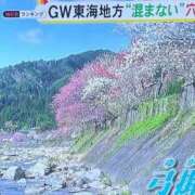 ヒメ日記 2025/04/25 17:44 投稿 せな 一宮稲沢小牧ちゃんこ