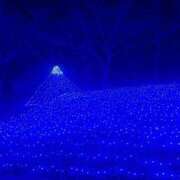 ヒメ日記 2025/04/30 22:07 投稿 せな 一宮稲沢小牧ちゃんこ