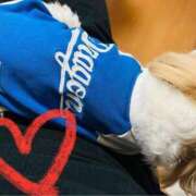 ヒメ日記 2025/05/03 23:51 投稿 せな 一宮稲沢小牧ちゃんこ