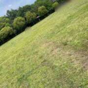 ヒメ日記 2025/05/11 11:34 投稿 せな 一宮稲沢小牧ちゃんこ