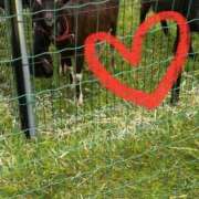 ヒメ日記 2025/05/12 21:44 投稿 せな 一宮稲沢小牧ちゃんこ