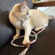 ヒメ日記 2025/05/14 00:05 投稿 せな 一宮稲沢小牧ちゃんこ