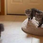 ヒメ日記 2025/05/14 14:44 投稿 せな 一宮稲沢小牧ちゃんこ