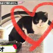 ヒメ日記 2025/05/16 18:05 投稿 せな 一宮稲沢小牧ちゃんこ