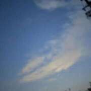 ヒメ日記 2025/05/20 02:54 投稿 せな 一宮稲沢小牧ちゃんこ