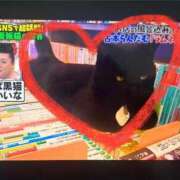 ヒメ日記 2025/05/28 12:05 投稿 せな 一宮稲沢小牧ちゃんこ