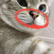 ヒメ日記 2025/06/02 22:17 投稿 せな 一宮稲沢小牧ちゃんこ