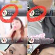 ヒメ日記 2025/06/04 00:04 投稿 せな 一宮稲沢小牧ちゃんこ