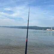 ヒメ日記 2025/06/08 20:47 投稿 せな 一宮稲沢小牧ちゃんこ