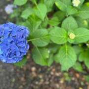 ヒメ日記 2025/06/24 18:54 投稿 せな 一宮稲沢小牧ちゃんこ