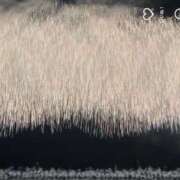 ヒメ日記 2025/06/28 23:44 投稿 せな 一宮稲沢小牧ちゃんこ