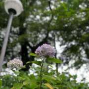 ヒメ日記 2025/06/29 18:44 投稿 せな 一宮稲沢小牧ちゃんこ