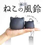 ヒメ日記 2025/07/09 16:04 投稿 せな 一宮稲沢小牧ちゃんこ