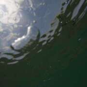 ヒメ日記 2025/07/09 23:16 投稿 せな 一宮稲沢小牧ちゃんこ