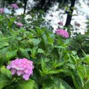 ヒメ日記 2025/07/10 22:52 投稿 せな 一宮稲沢小牧ちゃんこ